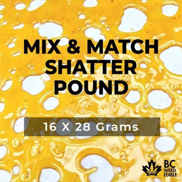 pound shatter 600x600 1 1